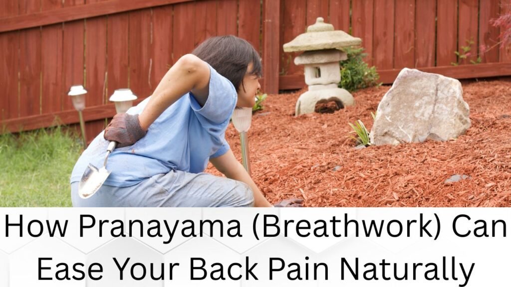 How Pranayama (Breathwork) Can Ease Your Back Pain Naturally