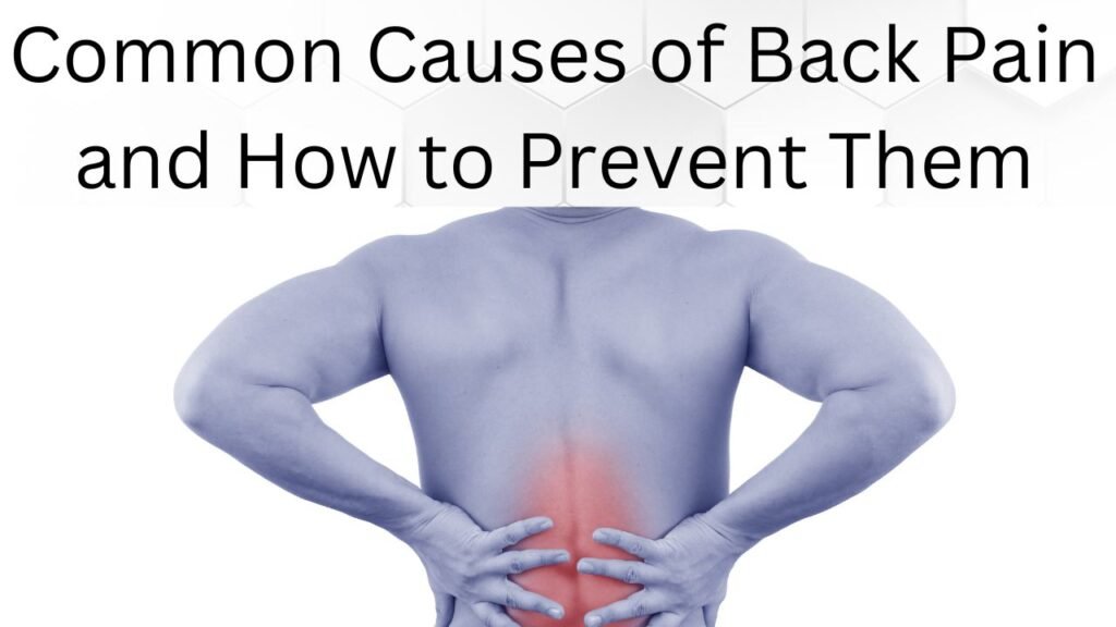 Common Causes of Back Pain and How to Prevent Them
